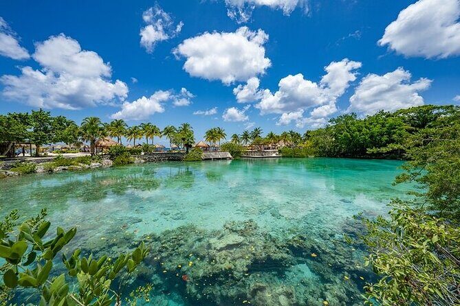 Snorkeling Adventure with Lunch and Tequila Tour - From the Reviews (and What to Expect)