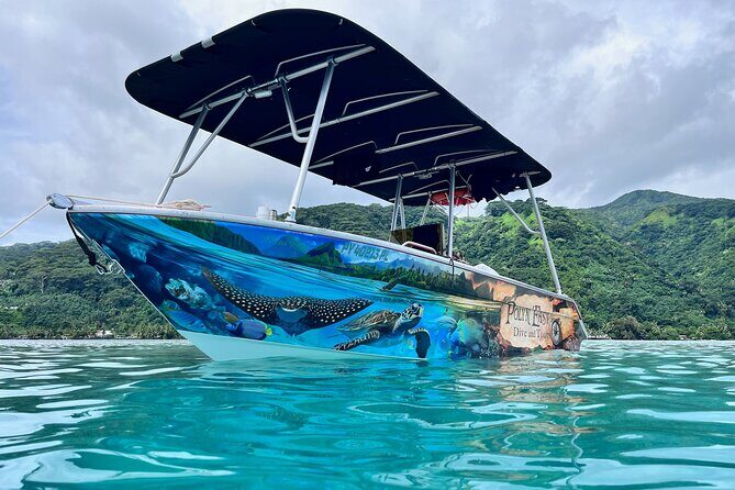 Snorkeling EN Small Group Tour in Tahiti - How the Experience Feels on the Water