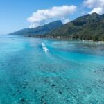 Snorkeling excursion and encounter with marine fauna in Moorea - FAQs