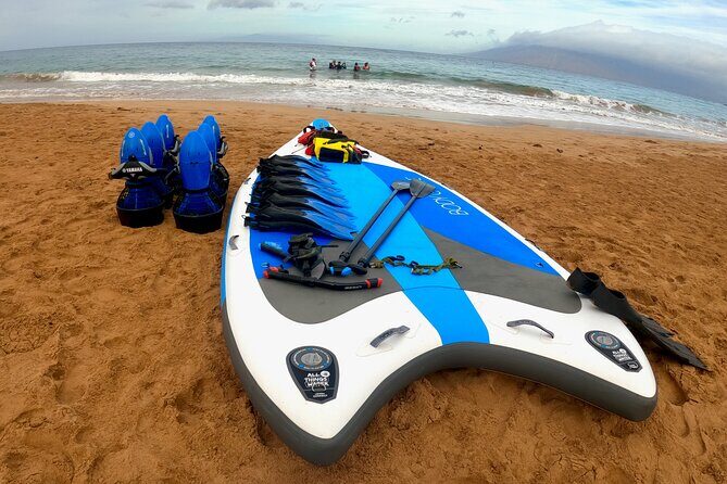 Snorkeling for Non-Swimmers Guided Tour - Wailea Beach - The Itinerary in Detail