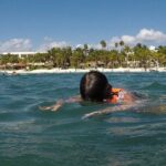 Snorkeling with Sea Turtles and Cenote Adventure - The Guides and Their Role