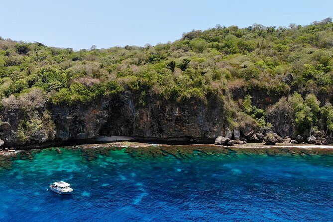 Snorkelling Christmas Island - What to Expect from the Tour