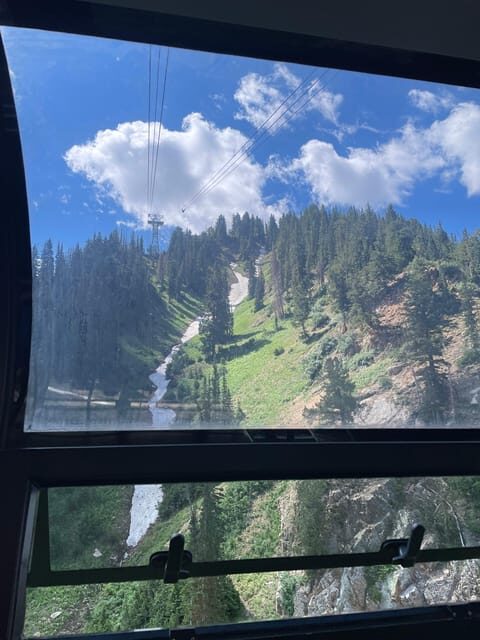 Snowbird Summer Excursion Day Tour - Value and Price Considerations