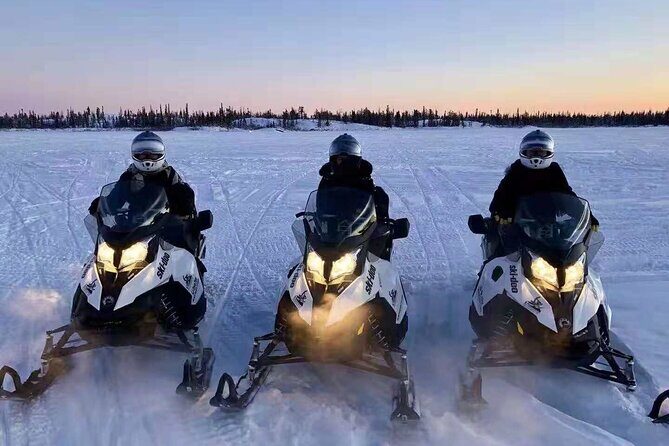 Snowmobile Tour - The Experience Itself: What Makes It Special