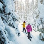 Snowshoe Rentals in South Lake Tahoe - Final Thoughts: Is It Worth It?
