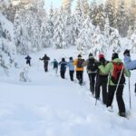 Snowshoe Tour in the Lake Tahoe Mountains - The Experience in a Nutshell