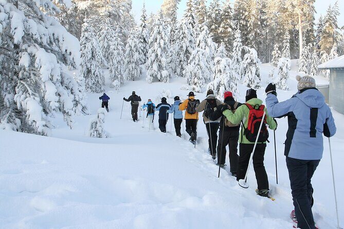 Snowshoe Tour in the Lake Tahoe Mountains - The Experience in a Nutshell