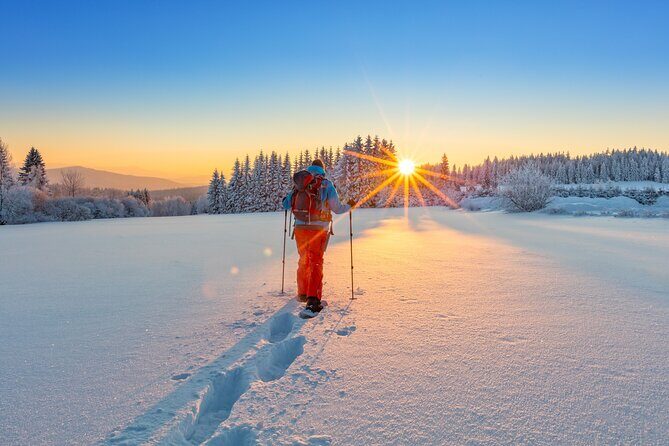 Snowshoeing at The Top of The Sea to Sky Gondola - The Gondola Ride and Summit Views
