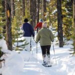 Snowshoeing In Vancouver's Winter Wonderland - What Makes This Tour Stand Out