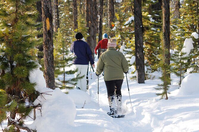 Snowshoeing In Vancouver's Winter Wonderland - What Makes This Tour Stand Out