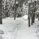 Snowshoeing Tour in Jacques-Cartier National Park - Who Is This Tour Best Suited For?