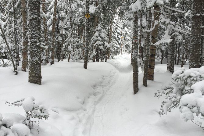 Snowshoeing Tour in Jacques-Cartier National Park - Who Is This Tour Best Suited For?