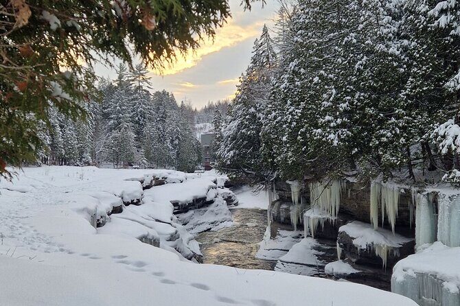 Snowshoeing with mountain goats Private activity - Final Thoughts