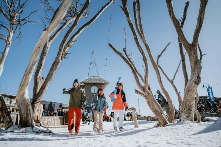 Snowy Escapes: Mount Buller Alpine Adventure - What to Expect from the Mount Buller Alpine Tour
