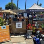 Solana Beach, CA: Body Board with Leash Rental - Why This Rental Is a Good Fit