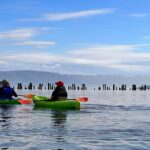 Somers Bay Flathead Lake Sunset Tour - What to Expect from the Itinerary