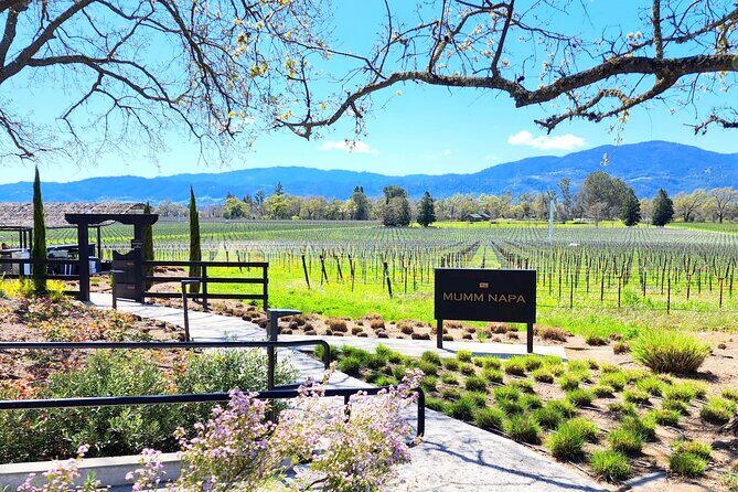 Sonoma and Napa Champagne Wine Private Tour Half Day - Is It Worth the Price?