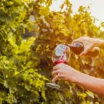 Sonoma County: Tasting Pass (Choose 1, 2, or 90 Days) - What to Expect During Your Tasting Journey