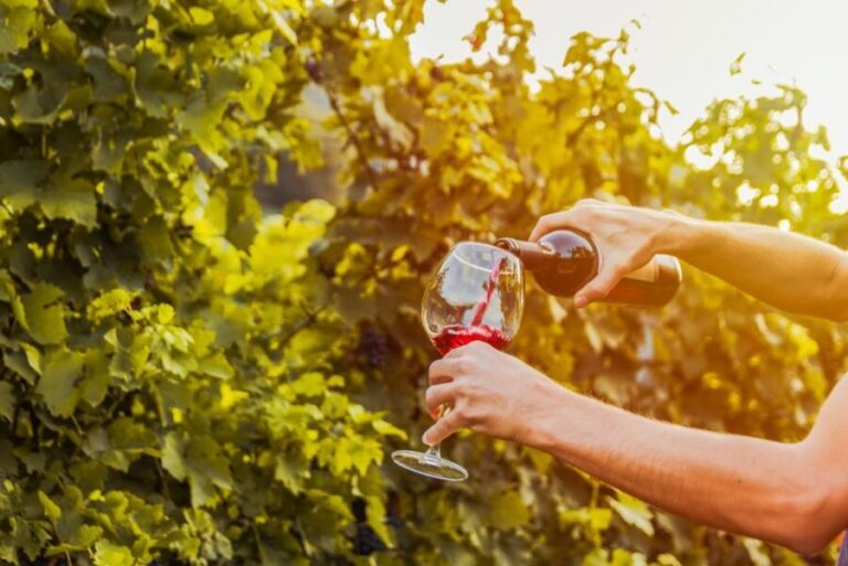 Sonoma County: Tasting Pass (Choose 1, 2, or 90 Days) - What to Expect During Your Tasting Journey