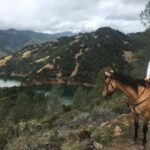 Sonoma: Horseback Riding Tour to Skaggs Vista Mountain - Key Points