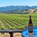 Sonoma Valley All-Inclusive Wine Tour - An In-Depth Look at the Sonoma Valley All-Inclusive Wine Tour