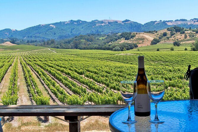 Sonoma Valley All-Inclusive Wine Tour - An In-Depth Look at the Sonoma Valley All-Inclusive Wine Tour