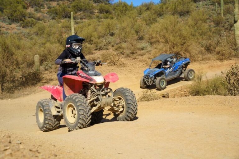 Sonoran Desert: Guided UTV or ATV Desert Tour - The Guides and Their Impact
