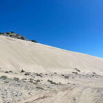 Sonora:Tour to the Sand Dunes of the desert in San Nicolás - Sandboarding: The Main Adventure