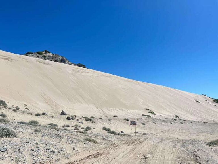 Sonora:Tour to the Sand Dunes of the desert in San Nicolás - Sandboarding: The Main Adventure