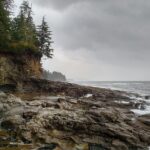 Sooke to Port Renfrew: Wild Pacific Adventure - The Practical Side: Price, Duration, and Comfort