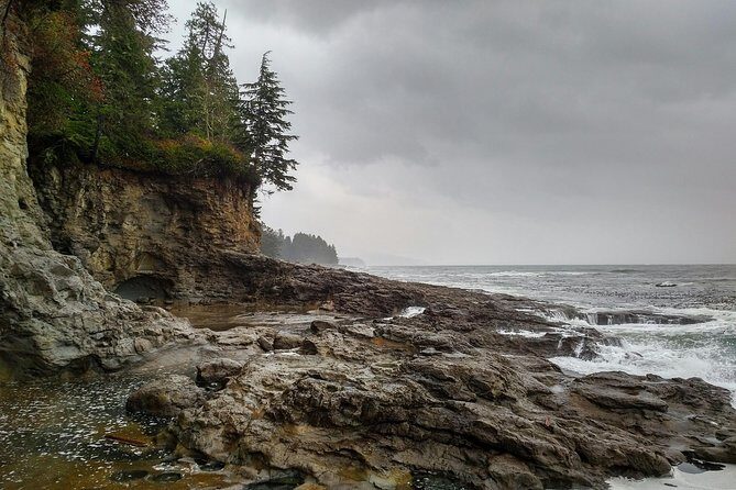 Sooke to Port Renfrew: Wild Pacific Adventure - The Practical Side: Price, Duration, and Comfort