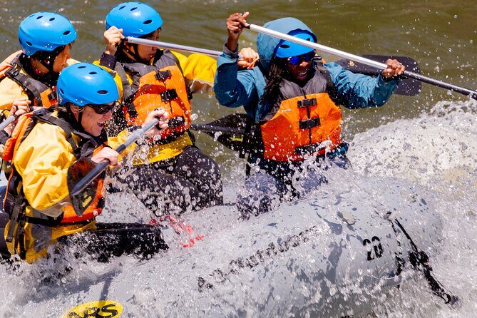 South Fork American River Whitewater Rafting Trip (Class 3+) - What to Expect from the South Fork American River Trip