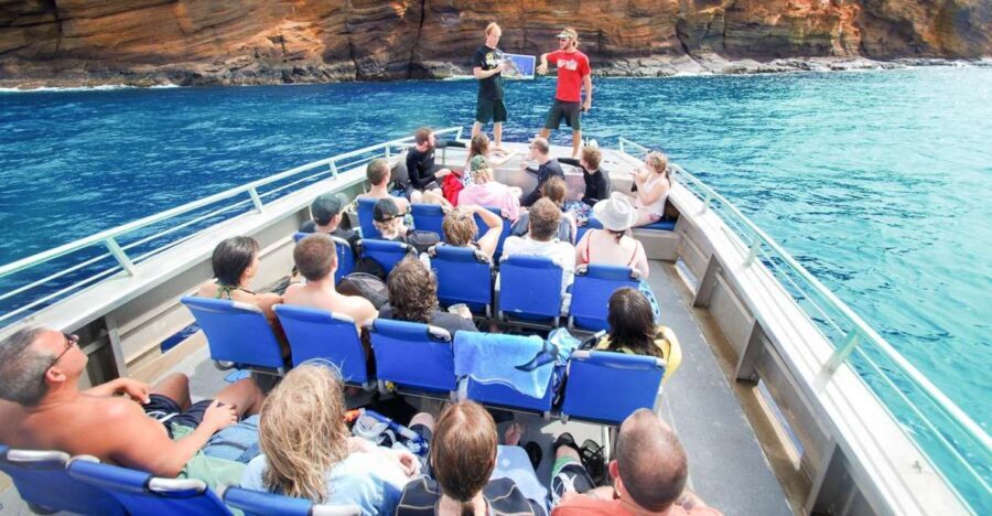 South Maui: Molokini & Turtle Adventure from Maalaea Harbor - Wildlife and Marine Life