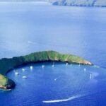 South Maui: Molokini & Turtle Town Snorkeling Tour with Meal - Why You Might Love This Tour