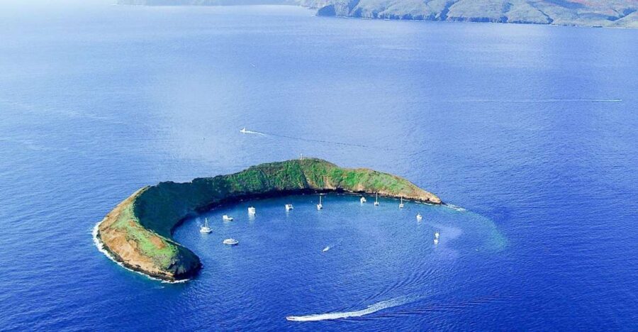 South Maui: Molokini & Turtle Town Snorkeling Tour with Meal - Why You Might Love This Tour