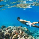 South Maui: Premium Turtle Town Kayak and Snorkel Tour - Who Should Consider This Tour?