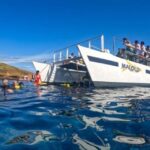 South Maui: Snorkel to Coral Gardens or Molokini Crater - Why This Tour Works and Its Drawbacks