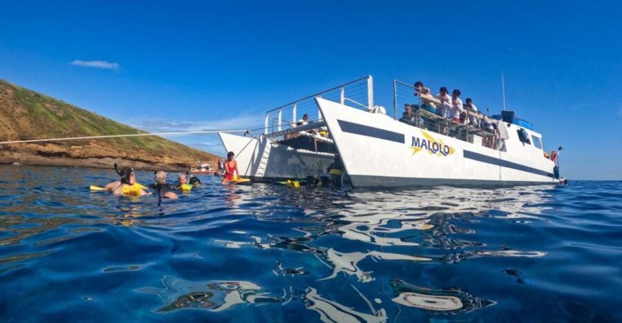 South Maui: Snorkel to Coral Gardens or Molokini Crater - Why This Tour Works and Its Drawbacks