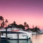 South Maui: Sunset Cruise with 4-Course Dinner and Drinks - What to Expect on the Maui Sunset Cruise
