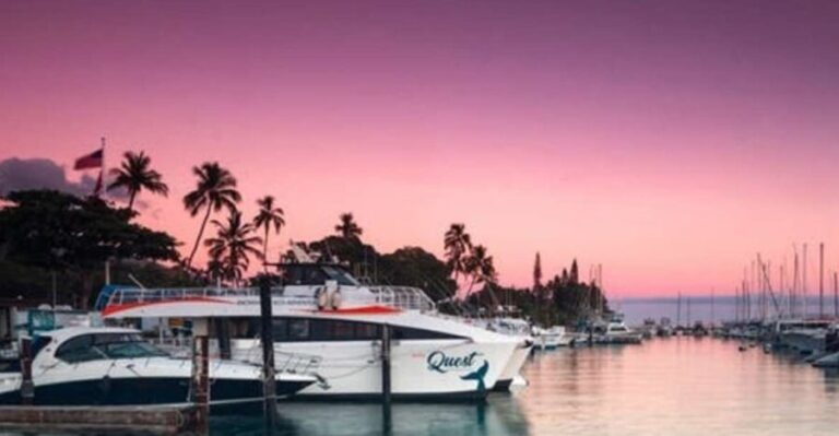 South Maui: Sunset Cruise with 4-Course Dinner and Drinks - What to Expect on the Maui Sunset Cruise