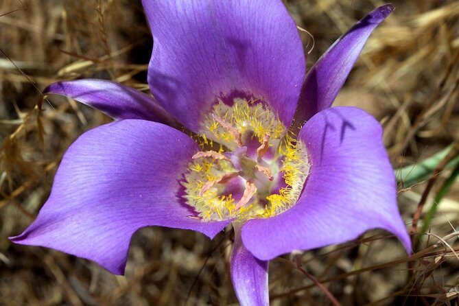 South Okanagan Desert Tour - Final Thoughts