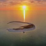 South Pasadena: Island Sunset Cruise and Skyway Light Show - Spotting Dolphins and Wildlife