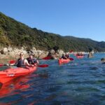 Southern Duo kayak & walk tour - Who is this tour best for?