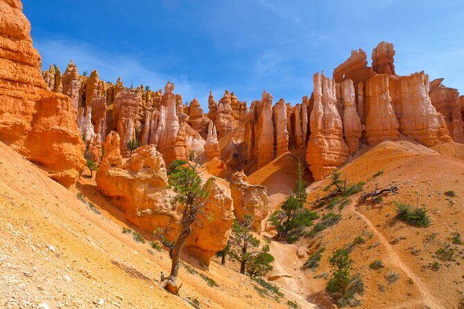 Southwest Giant Ring W/National Parks 4-Day Tour from Las Vegas - The Itinerary in Detail