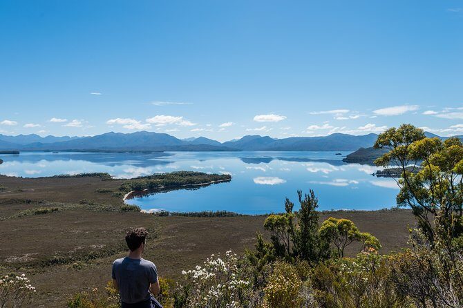 Southwest Tasmania Wilderness Experience: Fly Cruise and Walk Including Lunch - The Value of This Experience