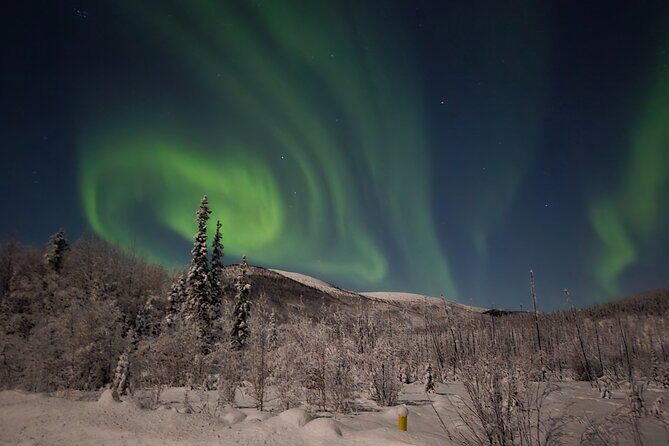 Spectacular Hot Spring Experience with Northern Lights - Who Should Consider This Tour?