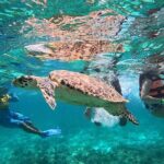 Speedboat and Snorkel Cancun Adventure with Transportation - What’s Included and What’s Not