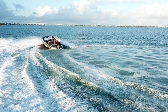 Speedboat Ride and Miami City Tour - What We Love and What Could Be Better