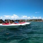 Speedboat Tour with Snorkeling in Cancun  Drive Your Own Boat! - Practical Details: Logistics, Pricing, and Tips