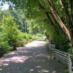 Spirit Of Vancouver Bike or Ebike Tour - Who Would Enjoy This Tour?